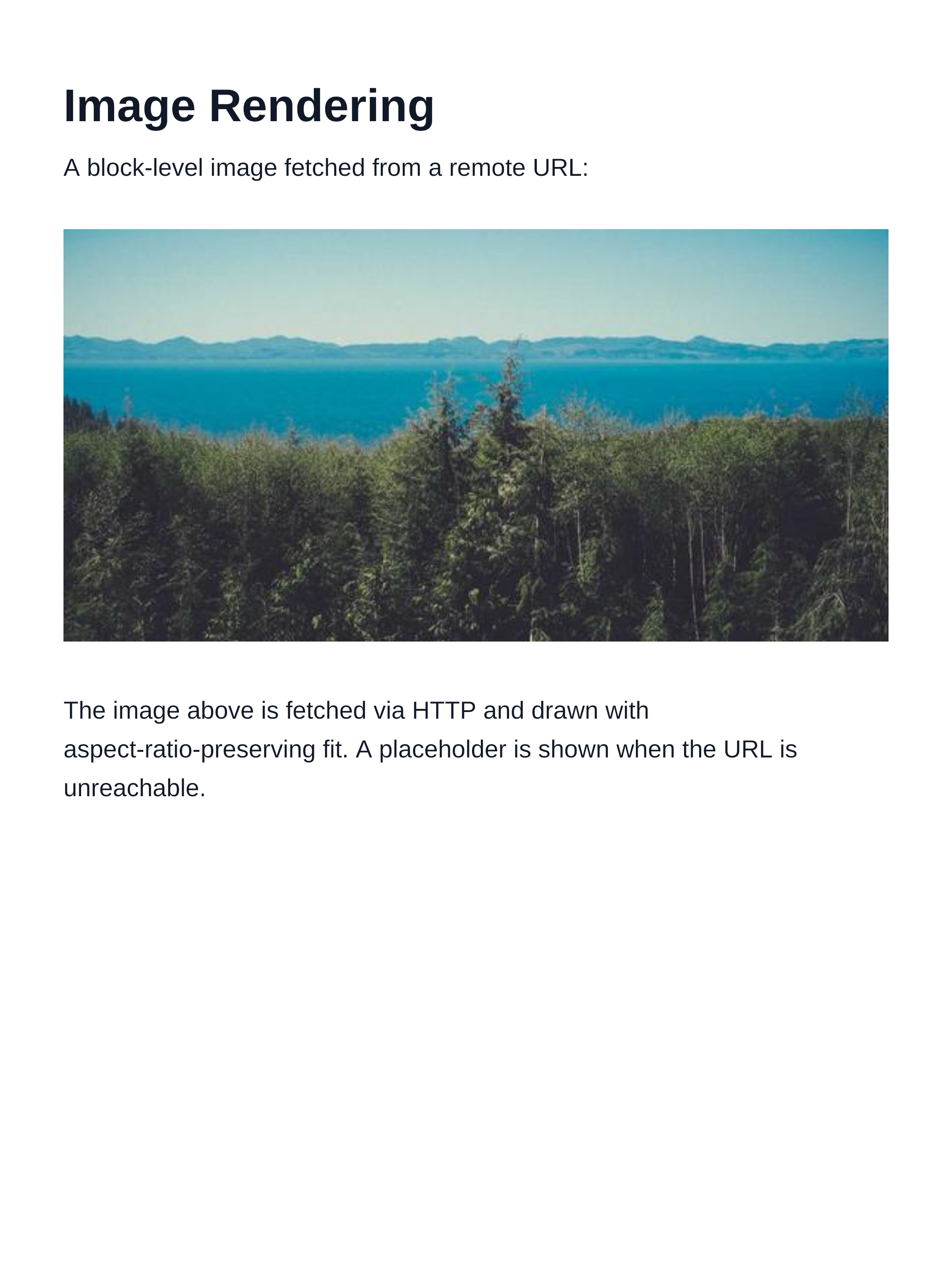 Block image rendered output